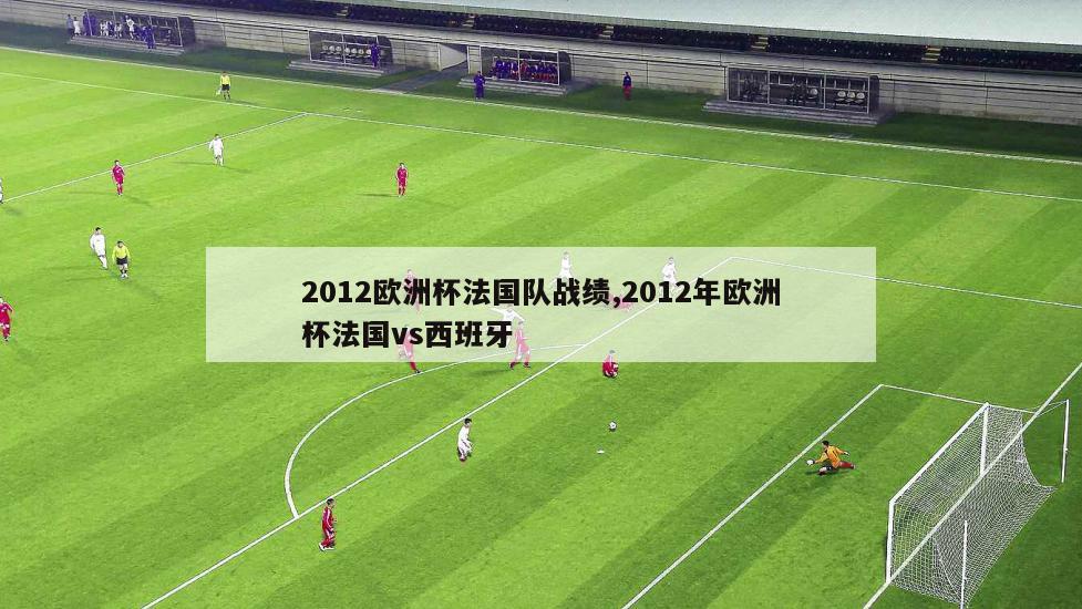 2012欧洲杯法国队战绩,2012年欧洲杯法国vs西班牙