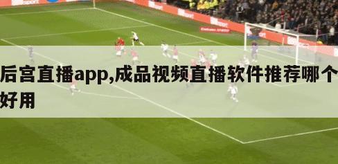 后宫直播app,成品视频直播软件推荐哪个好用