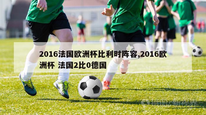 2016法国欧洲杯比利时阵容,2016欧洲杯 法国2比0德国