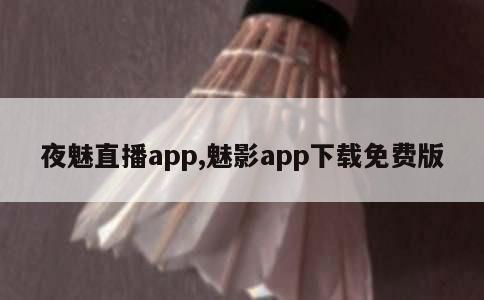 夜魅直播app,魅影app下载免费版