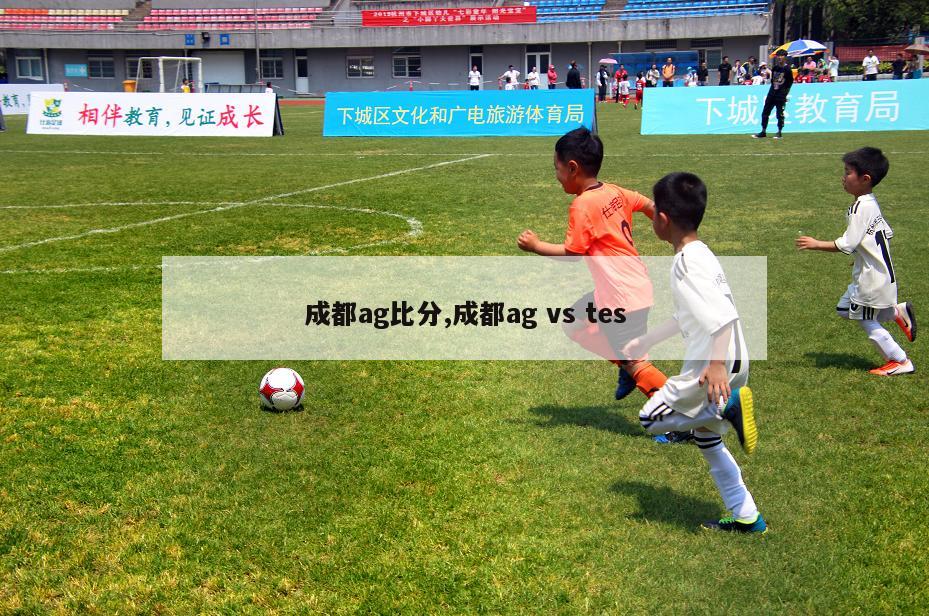 成都ag比分,成都ag vs tes