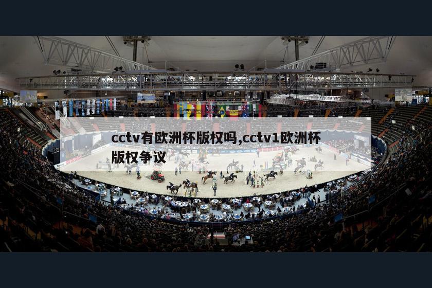 cctv有欧洲杯版权吗,cctv1欧洲杯版权争议