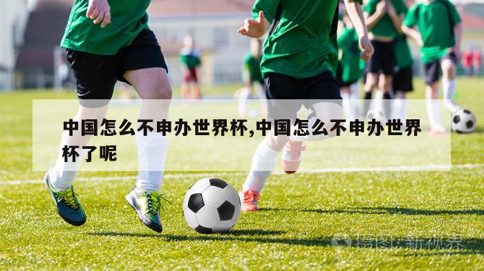 中国怎么不申办世界杯,中国怎么不申办世界杯了呢